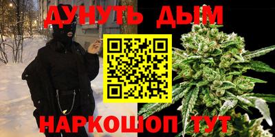сатива Кандалакша