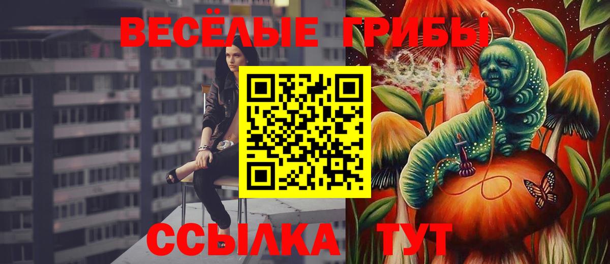 Галлюциногенные грибы мицелий Кудымкар